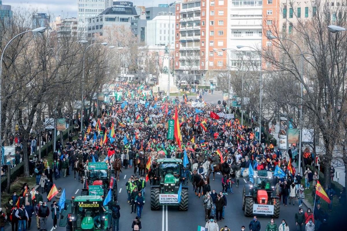 La manifestación a su paso por la Castellana