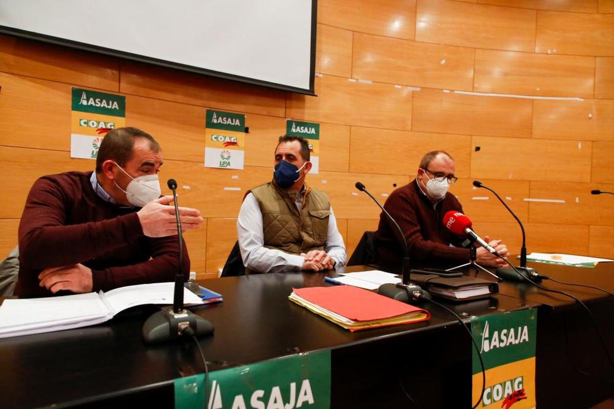 Juan Manuel Cortés (COAG), Juan Luis Delgado (ASAJA) y Carlos Sánchez (UPA)