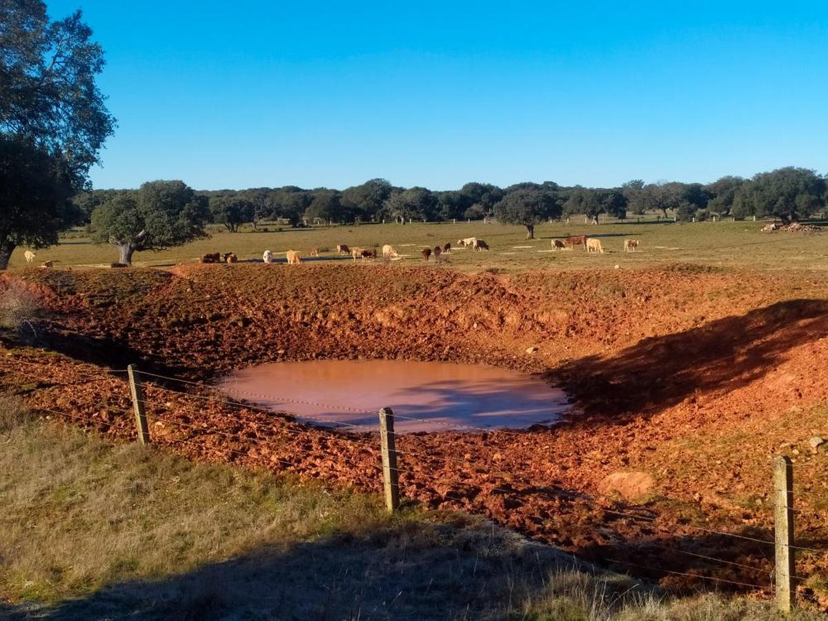 Imagen de una charca en una finca de Berrocal de Salvatierra con apenas agua este mes de enero.