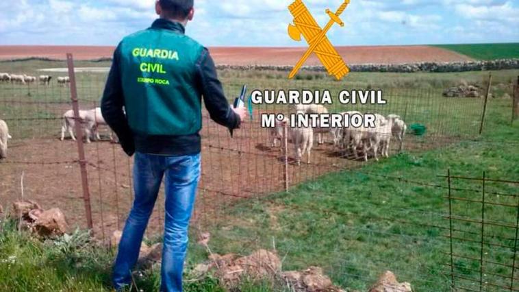 Multado por tener desnutrido y atado al sol a su perro en Bañobárez