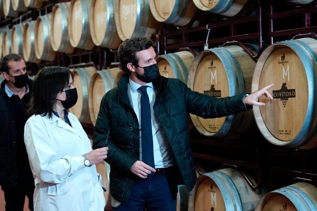 Pablo Casado, visita una bodega en Toro (Zamora) en el marco de la campaña electoral de las elecciones de Castilla y León.