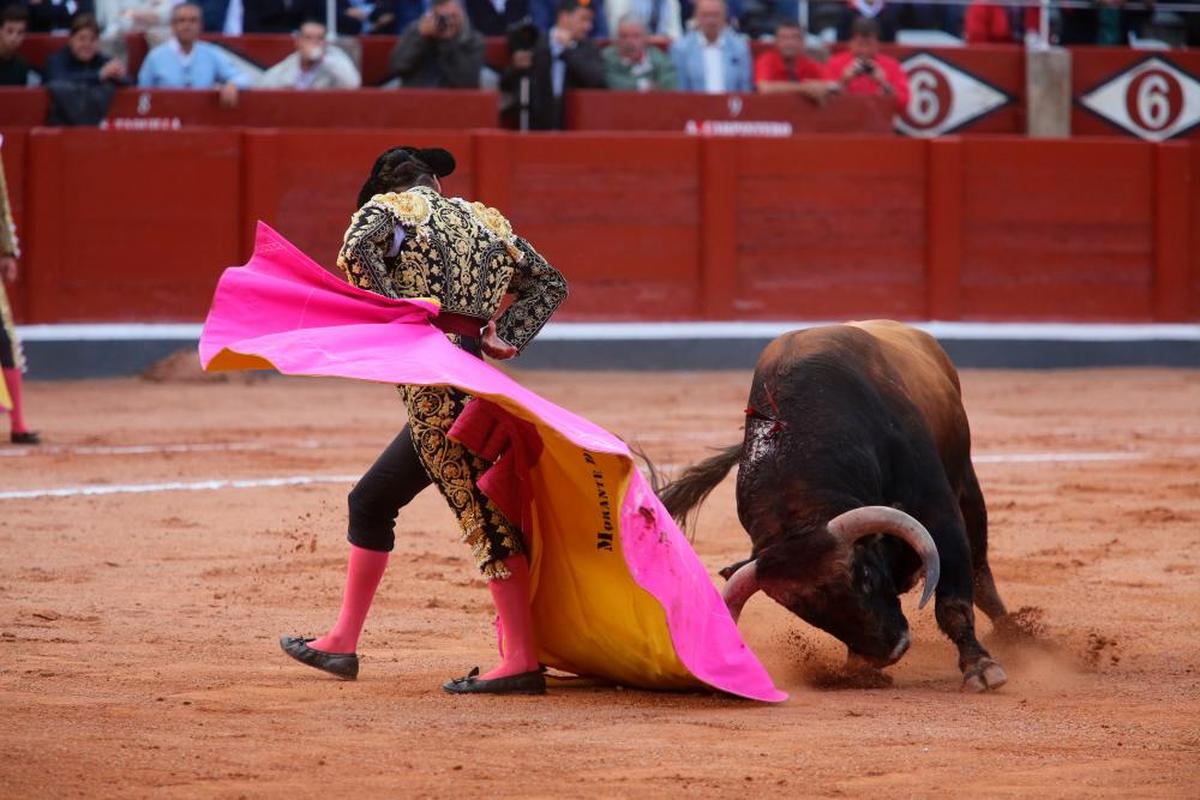 Airosa revolera de Morante a un toro de Domingo Hernández en Salamanca