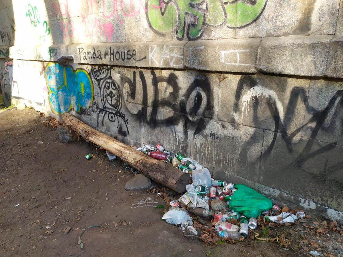 Suciedad y pintadas en los pilares del puente en La Aliseda, sobre el que pasa la antigua N-630.