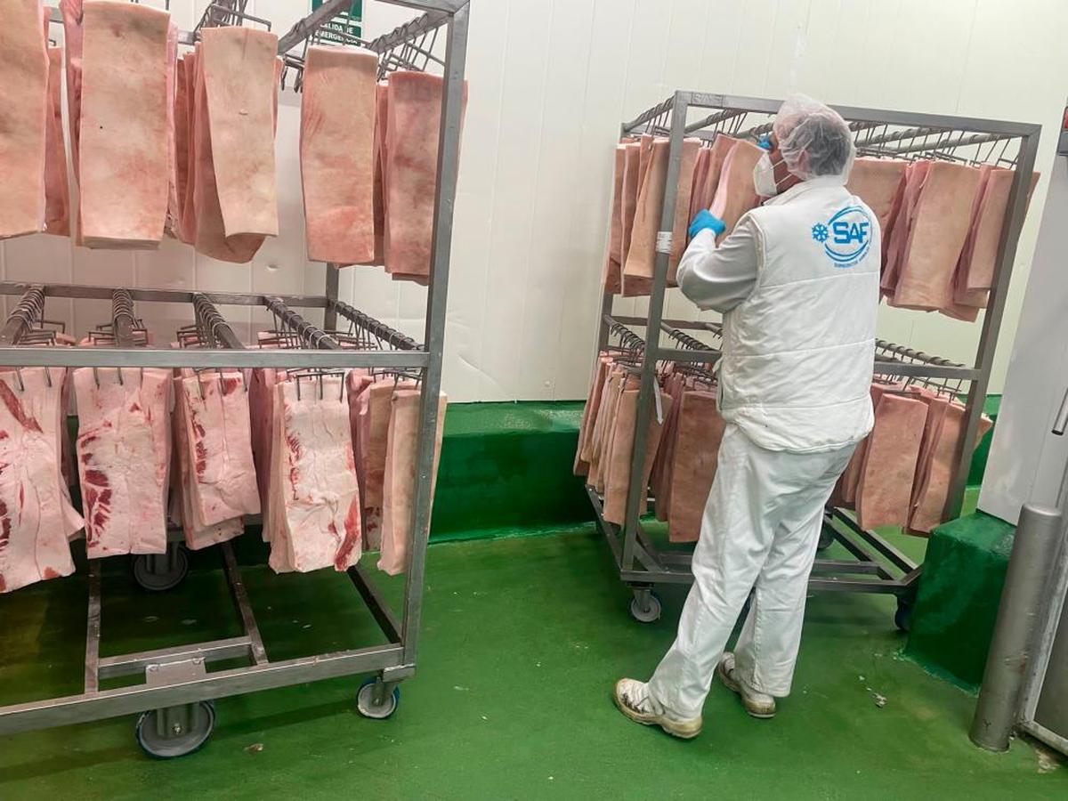 Tocino ibérico preparado ya para almacenarlo y luego fundirlo