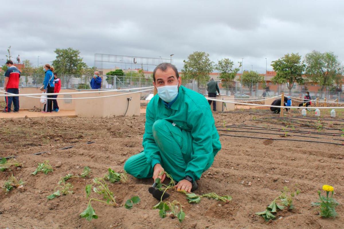 Un usuario de los huertos urbanos cuida su parcela