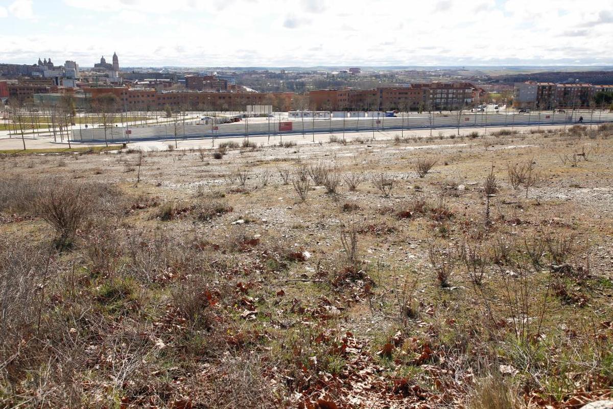 Zona en la que se construirá el Campus Agroalimentario.