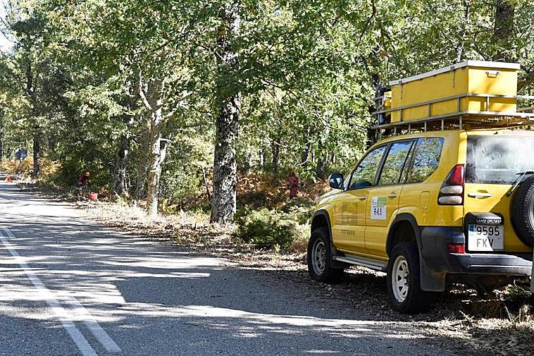 Tratamientos silvícolas de prevención en la Sierra de Francia.