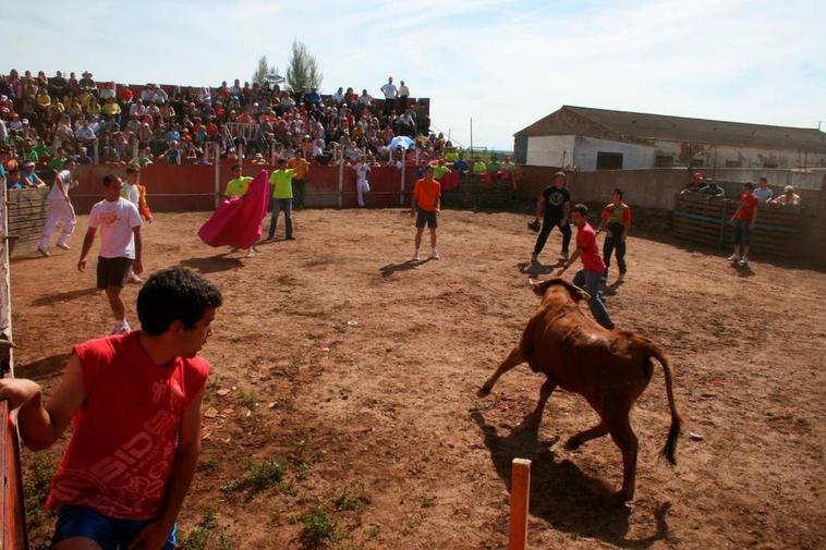 Vaquillas en las fiestas de hace seis años en Doñinos