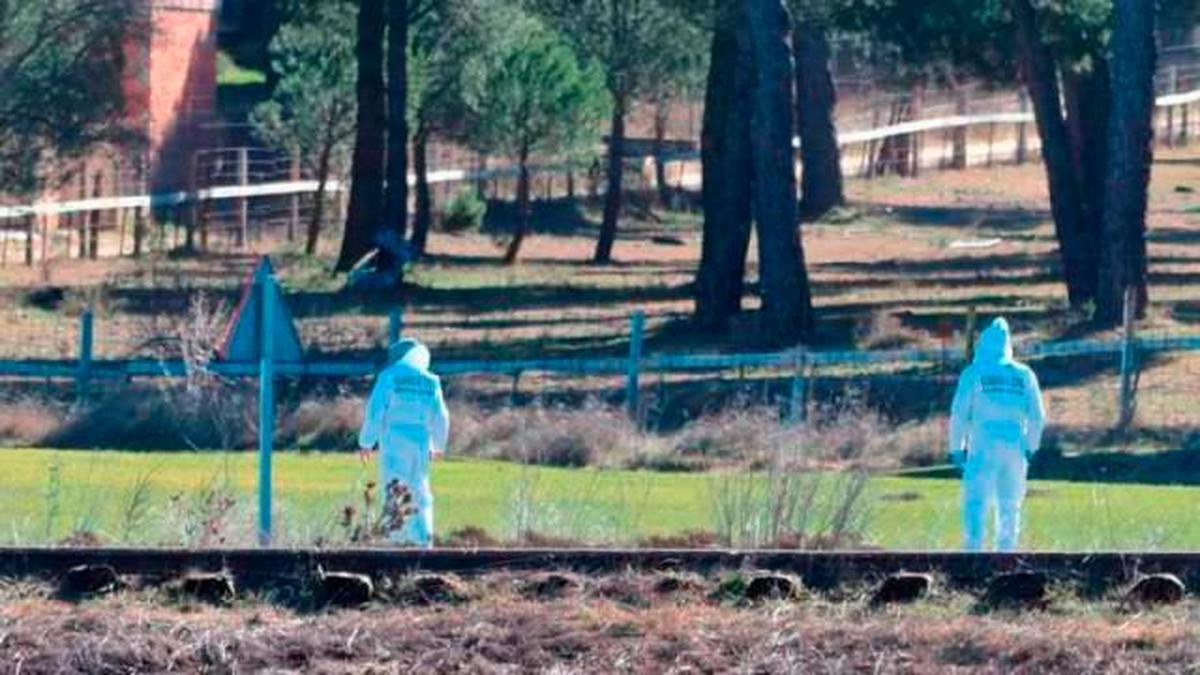 Agentes de la Guardia Civil, en el lugar donde apareció el cadáver de Esther López.