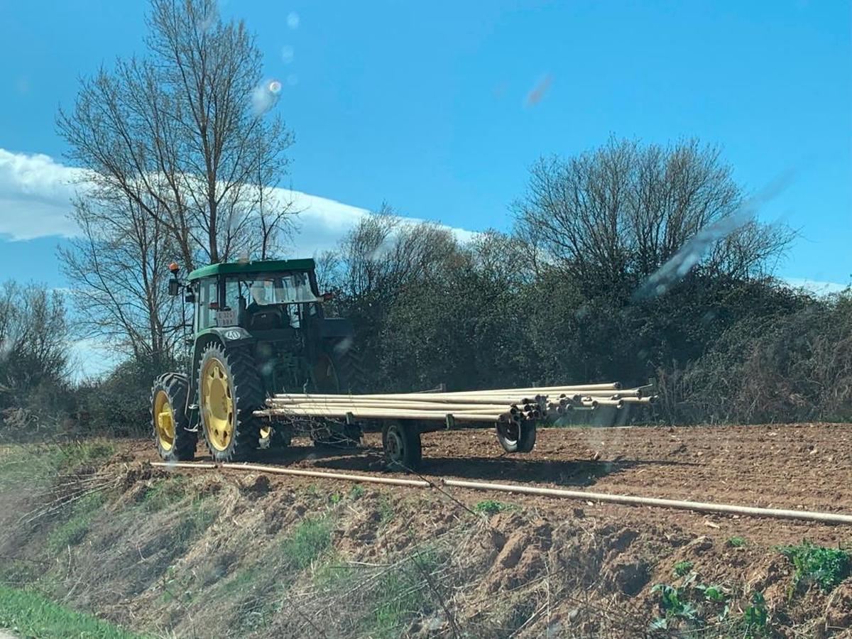 Un agricultor prepara ya los tubos de regadío en la parcela.