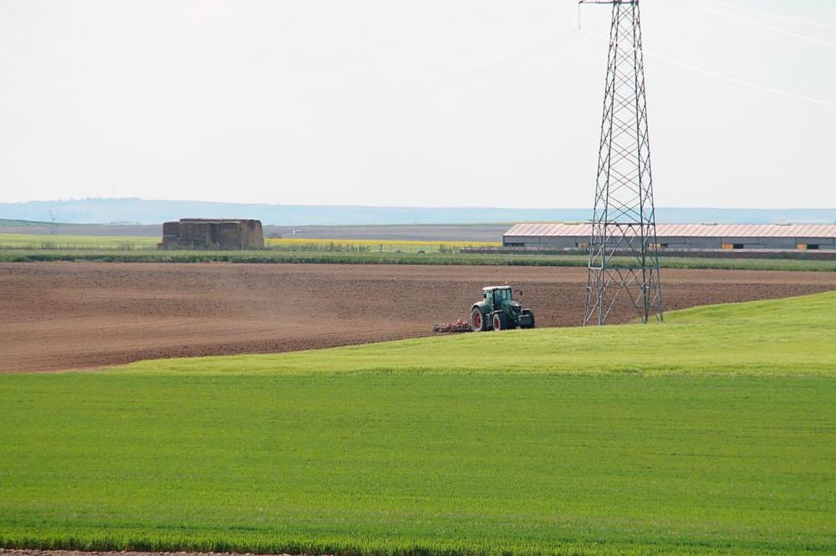 Un agricultor trabaja en una parcela con el tractor.