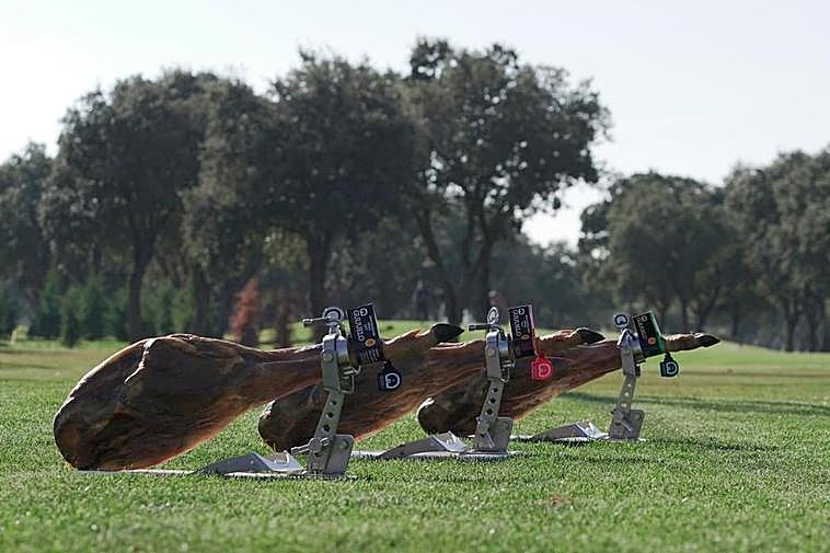 La zona de producción ganadera de los cerdos ibéricos amparados por el Consejo Regulador está ligada a la dehesa