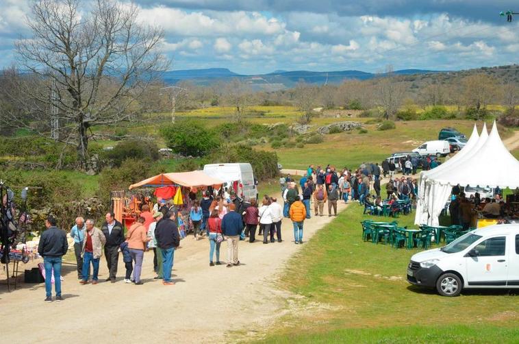 Tradicional y popular Feria Ganadera de Barruecopardo en años anteriores a la pandemia.