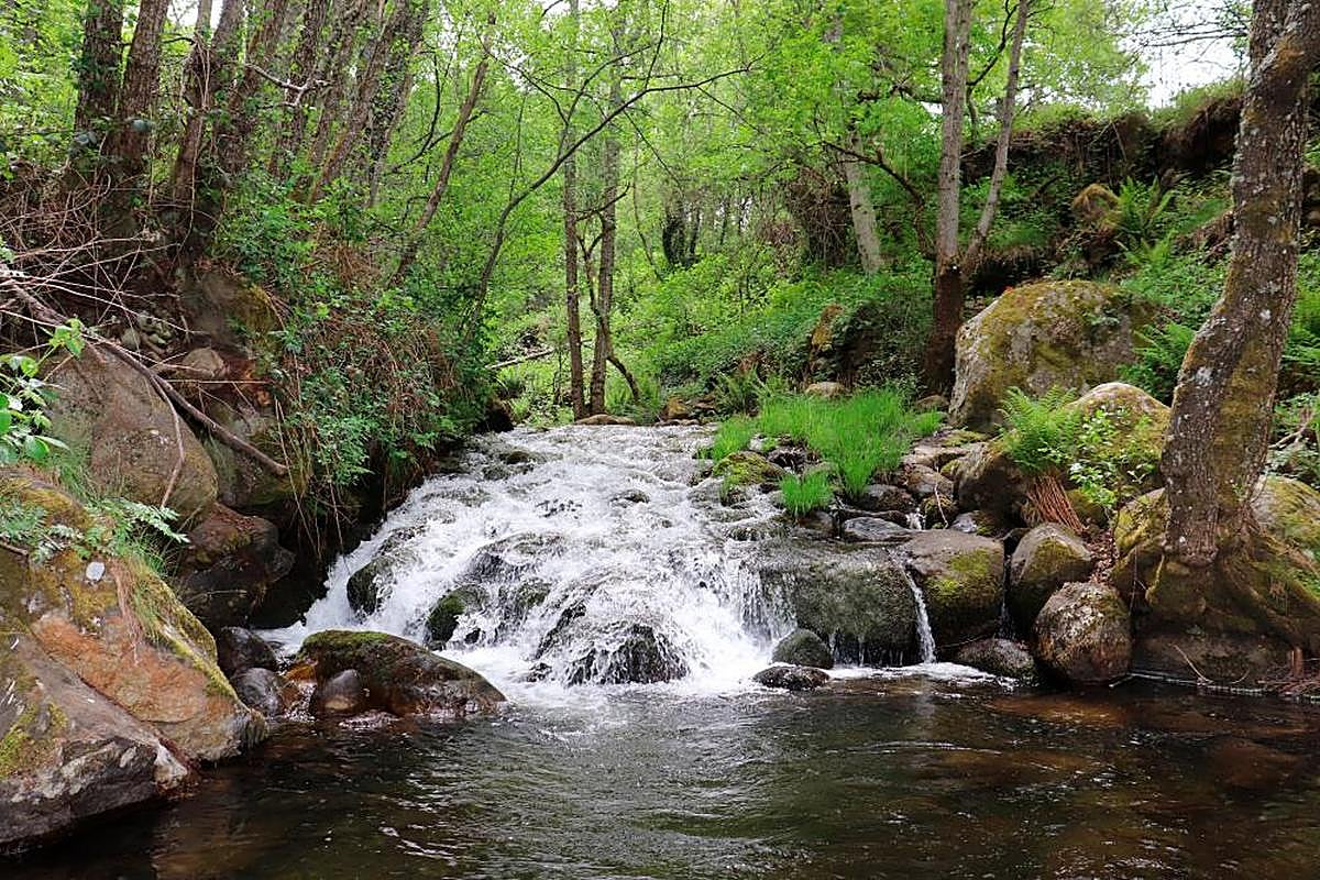 arroyo Cardal QUE nace en el entorno próximo a Los Canalizos de Candelario.