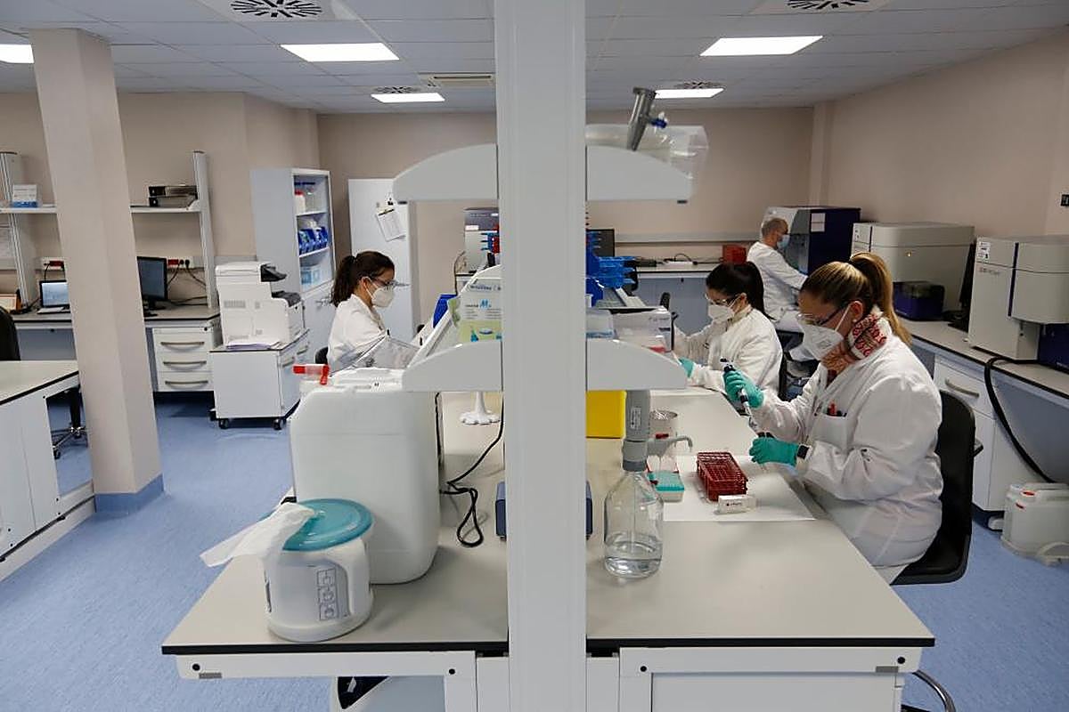 Trabajadores durante su jornada laboral en una empresa salmantina.