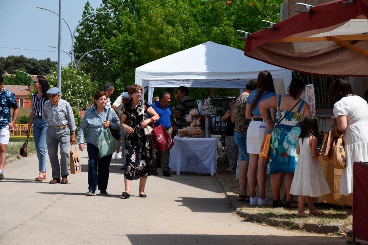 Vecinos y visitantes recorren la I Feria de Artesanía y Agroalimentación de Cerralbo.