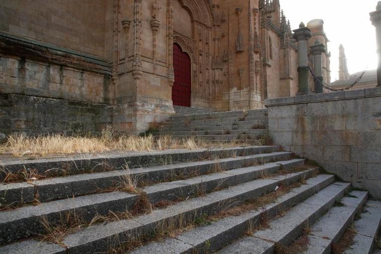 La vegetación crece en el atrio de la Catedral y las escaleras de acceso a él, estructuras cerradas al tránsito de los viandantes desde 2019.