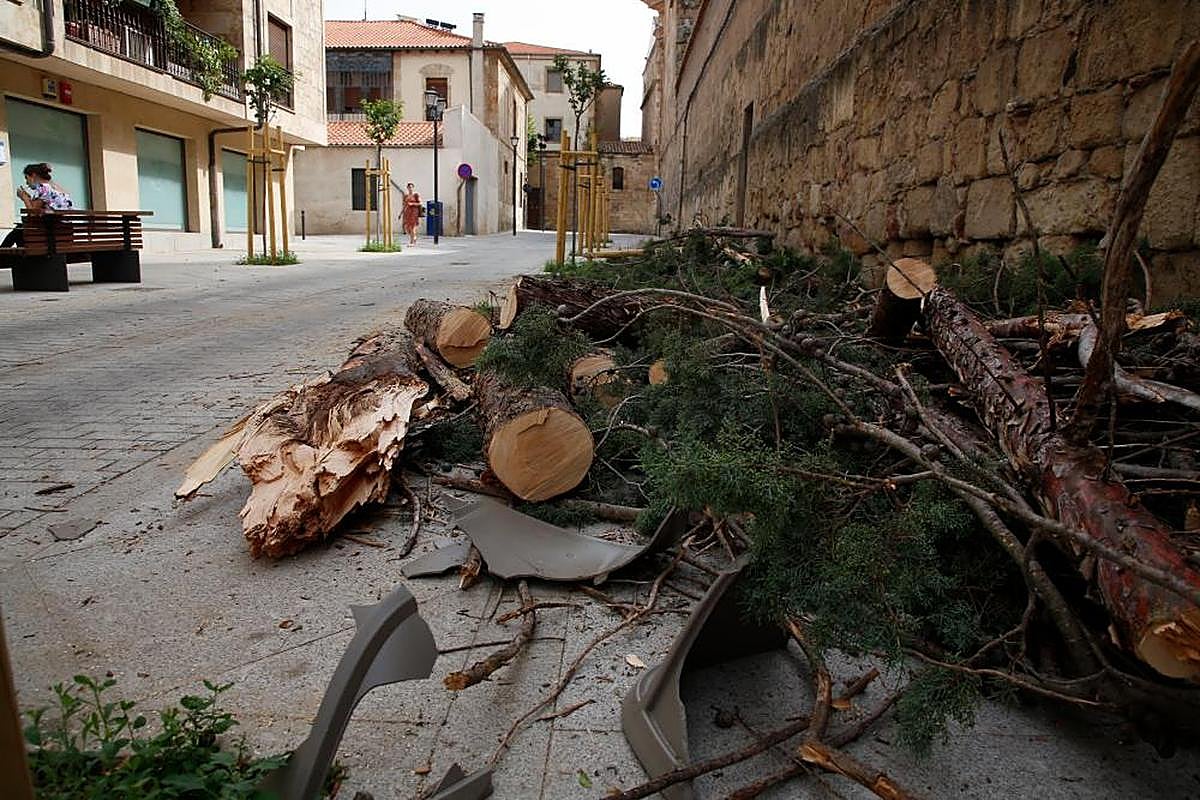 El 112 atiende cerca de 50 llamadas en 45 minutos por las tormentas registradas en Salamanca y Villamayor
