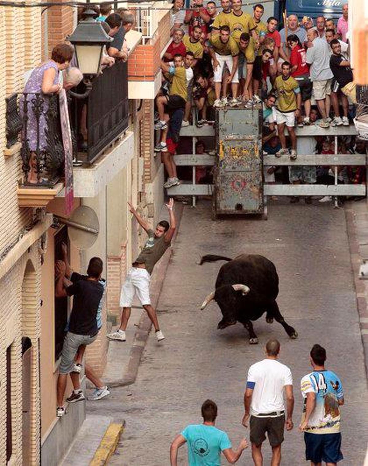 Festejo taurino de ‘bous al carrer’ en Puçol.