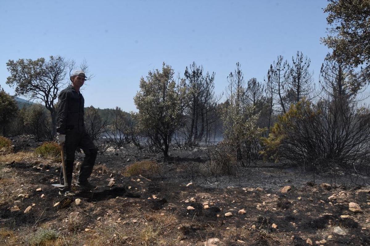 Un vecino de la zona repasa el extremo del incendio en El Maíllo sofocando tocones y arbustos para evitar que el viento provoque reactivaciones.