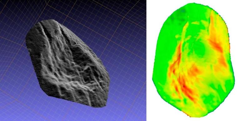 Las investigaciones realizadas desde 1982 han permitido obtener un amplio registro de grandes vertebrados.