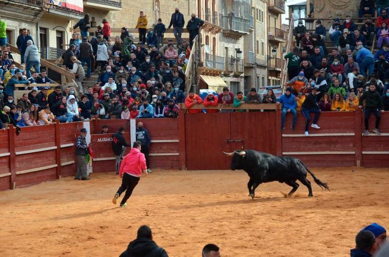 Encierro en el último Carnaval del Toro.