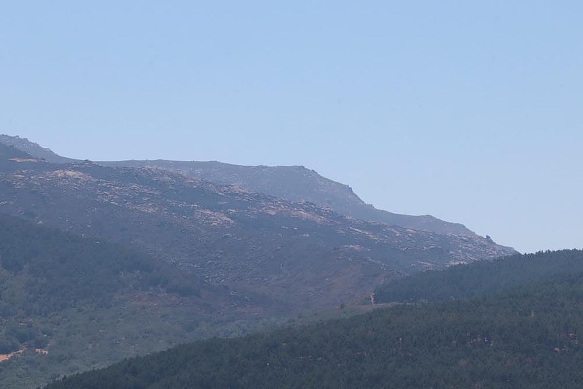 Imagen de la zona quemada en Candelario.