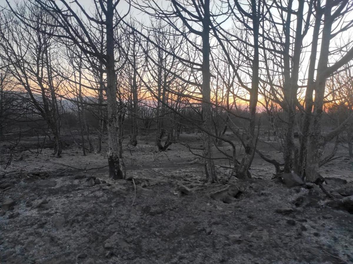 Alguno de los destrozos ocasionados por los incendios.