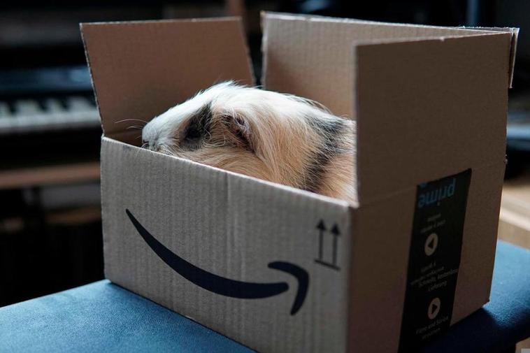 Esta subida es la segunda que se produce desde que Amazon Prime llegó a España.