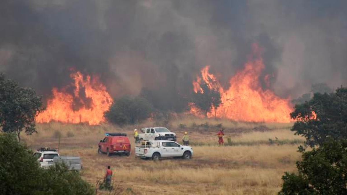 Uno de los focos del incendio de la Sierra de Francia este sábado en Morasverdes