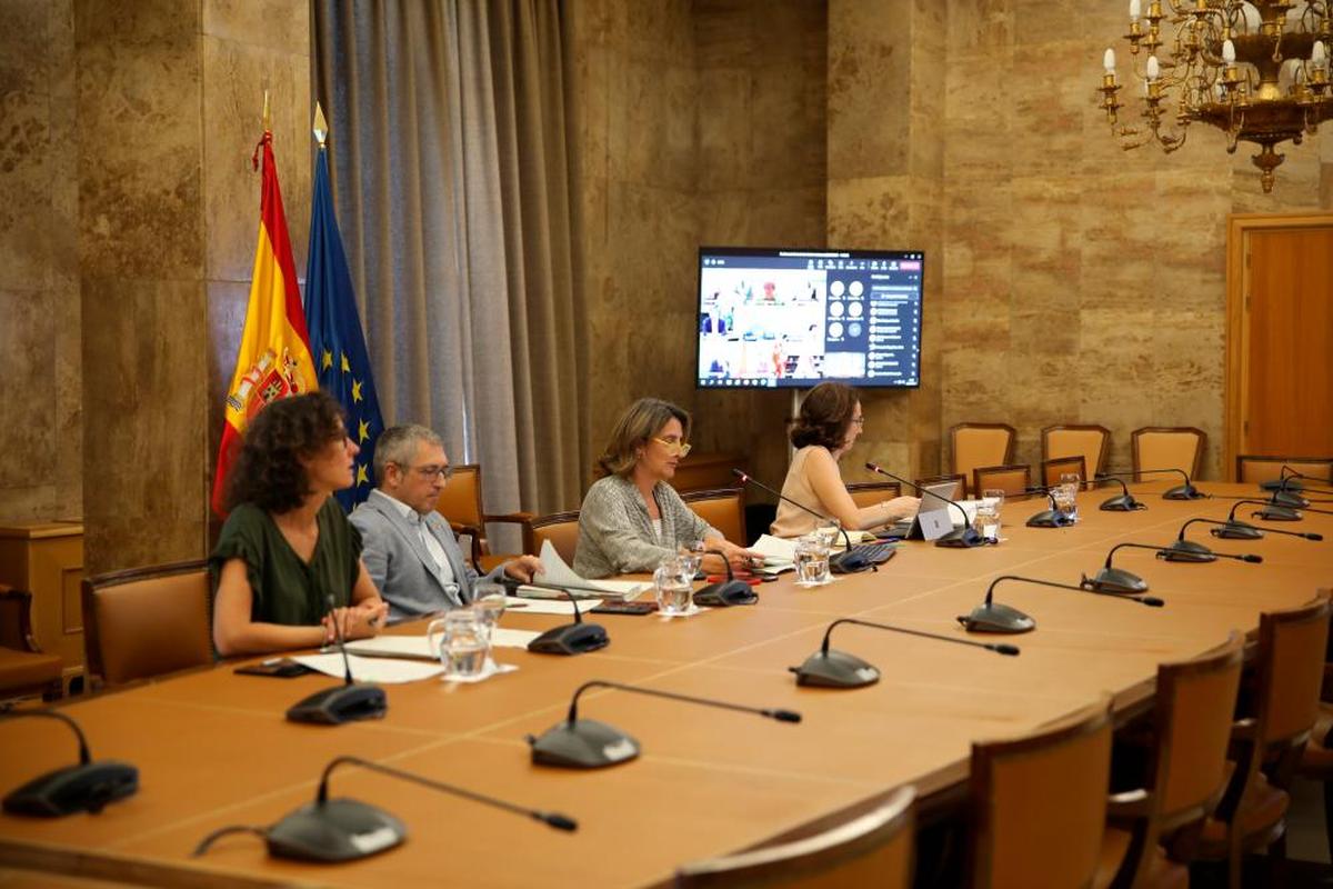 Conferencia Sectorial de Medio Ambiente presidida por Ribera y en la que se aprobó ayer la Estrategia.