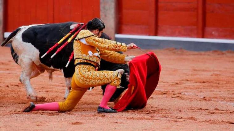 Torerísimo muletazo rodilla en tierra de Morante de la Puebla a un toro de Galache el año pasado en La Glorieta.