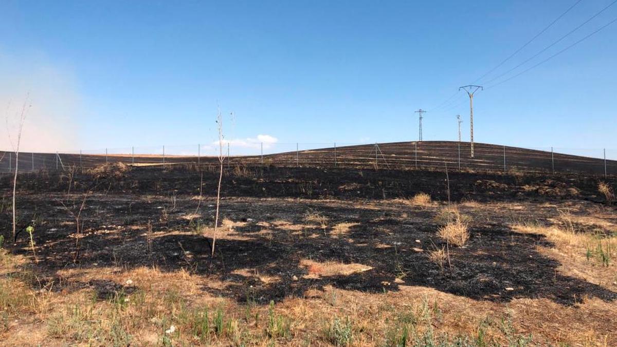 Pastos quemados en el incendio de Aldeaseca de Alba