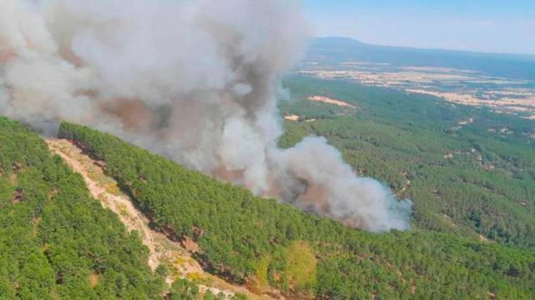 Incendio forestal en Santa Cruz del Valle (Ávila).