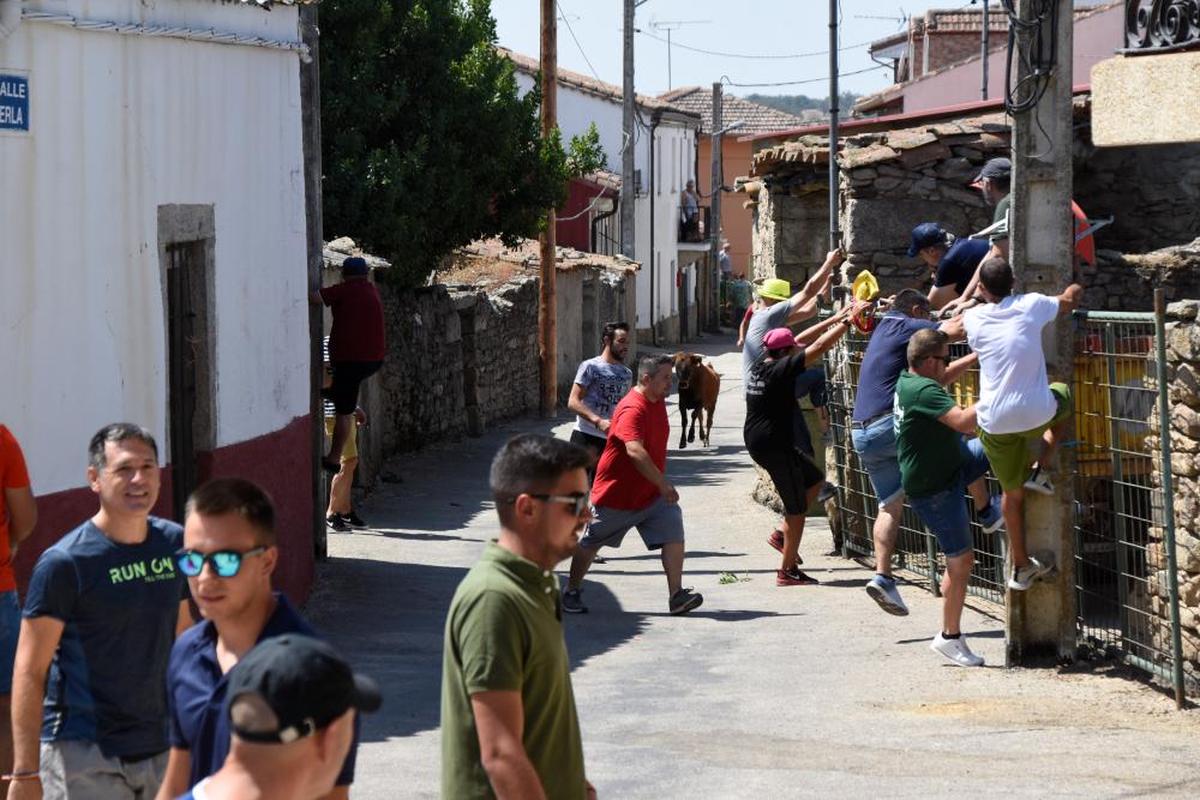 Carreras taurinas por las calles de Peralejos de Abajo.