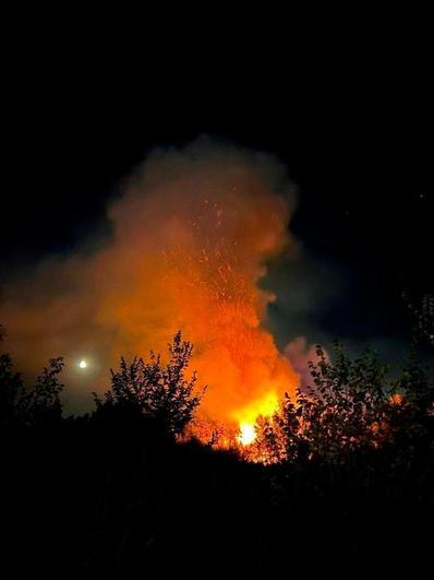 Los fuegos artificiales provocan un incendio en una isla del Tajo a su paso por Toledo