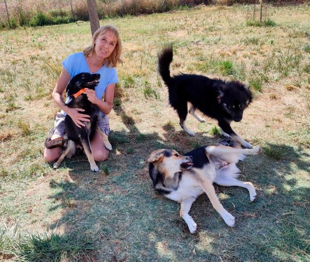 La presidenta de la Protectora de Animales y Plantas (ASPAP), Fredes Barbero, junto a Nero, Peck y Kepry