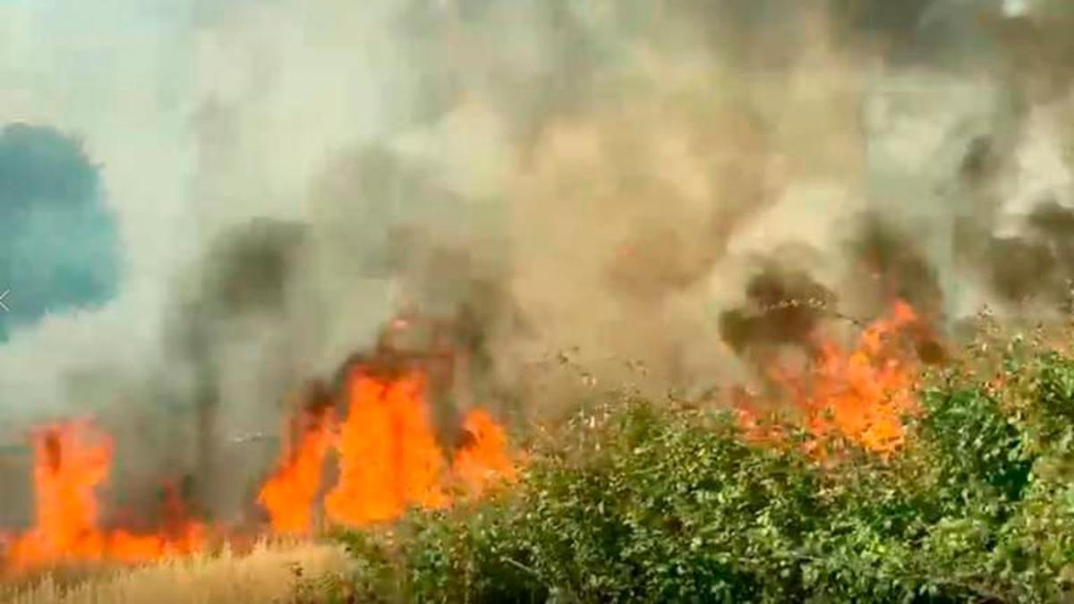 Incendio anteriormente producido entre Cabrillas y Santa Olalla.