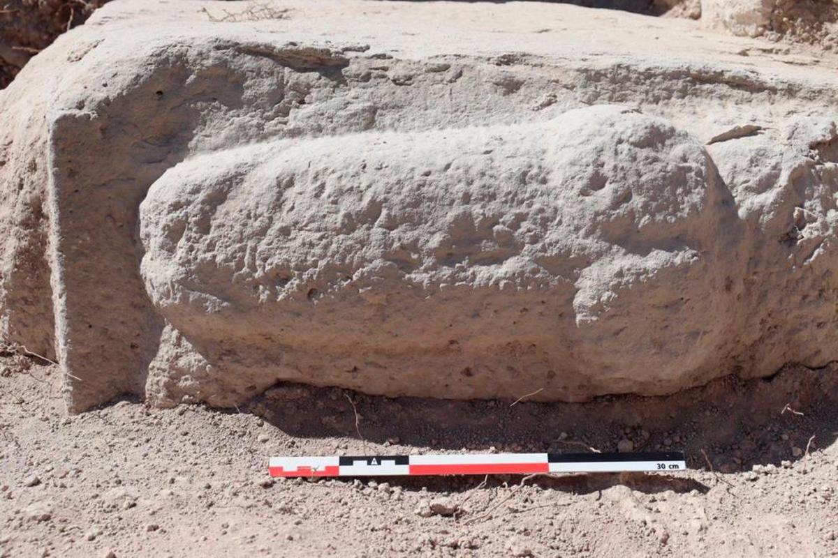 Relieve fálico que ha aparecido en uno de los sillares del yacimiento El Higuerón de Nueva Carteya.