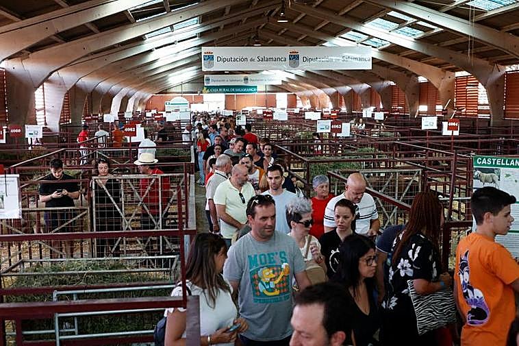 Nave de alimentación llena en la tarde del sábado