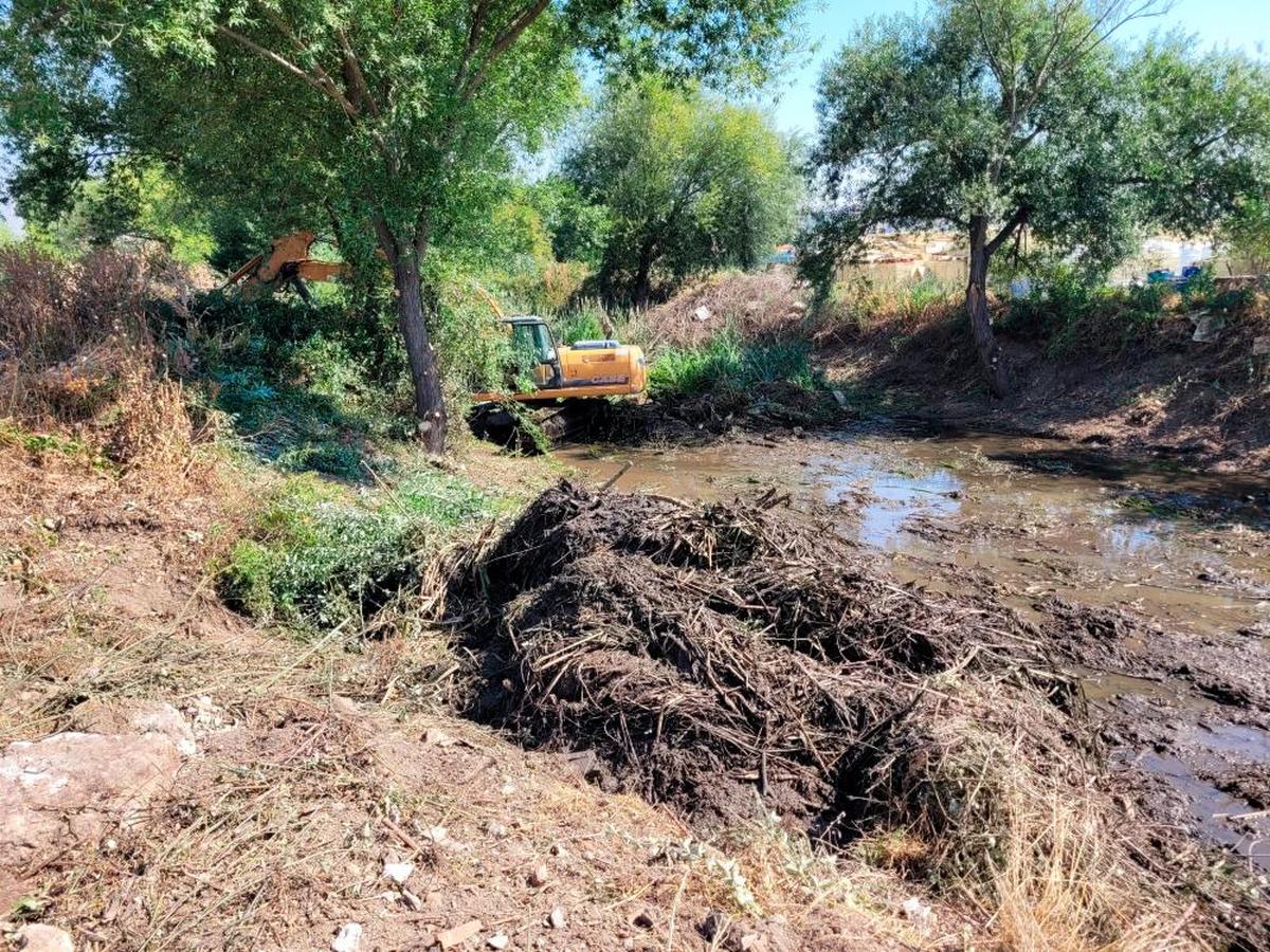 Trabajos de limpieza del regato del Bodón, en Ciudad Rodrigo, durante este verano.