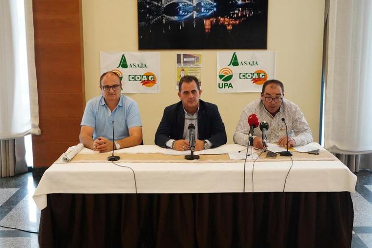 Carlos Sánchez (UPA), Juan Luis Delgado (ASAJA) y José Manuel Cortés (COAG), en la rueda de prensa.