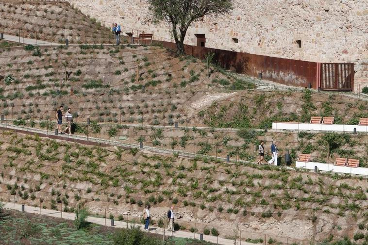 Imagen de una de las laderas del Cerro de San Vicente.