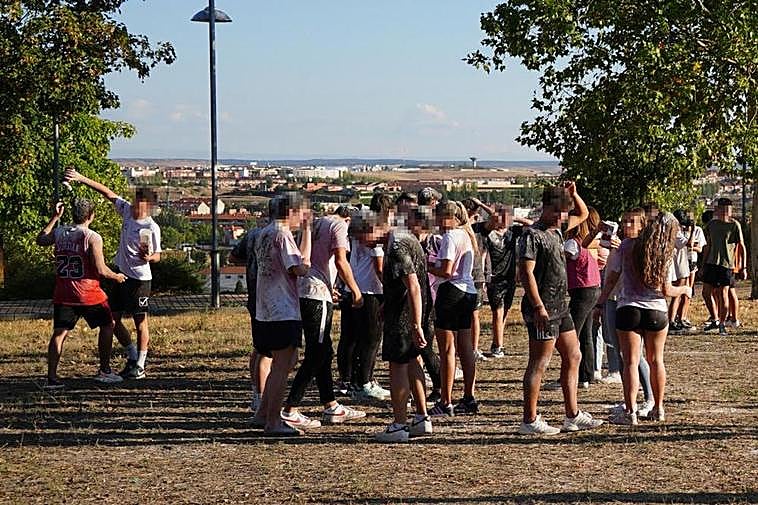 Novatas en un terreno en la zona de Huerta Otea.