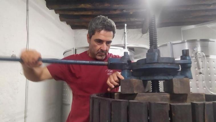 Pedro Martín, de San Esteban de la Sierra, elaborando rosado en su bodega.