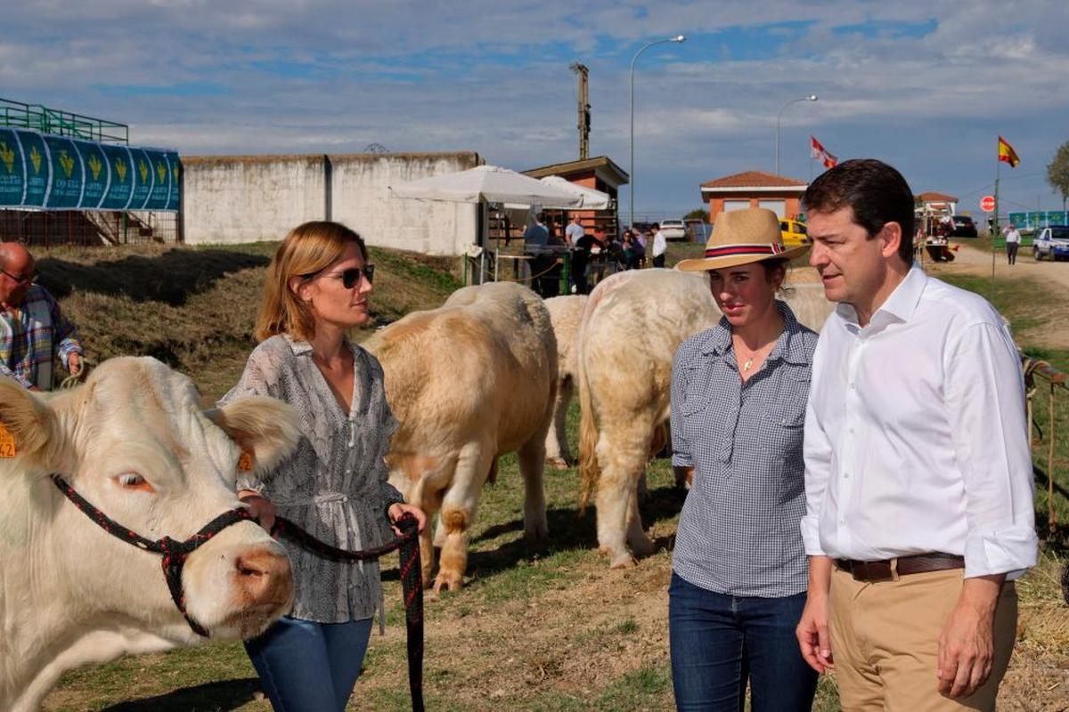 Mañueco en la primera Semana Internacional de la Carne.