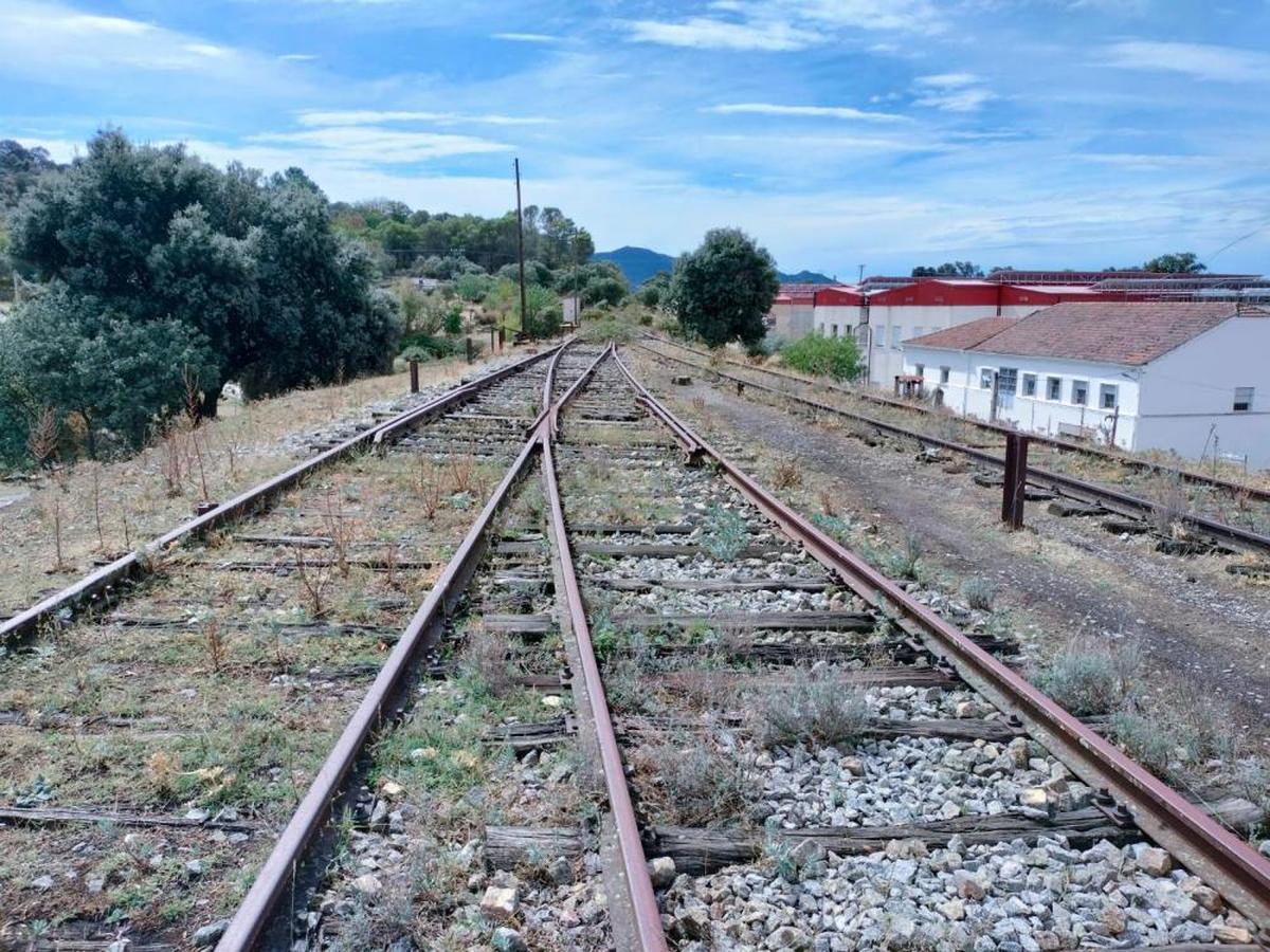 Imagen de los raíles de la antigua vía del tren en el tramo de Ledrada, aún sin levantar.