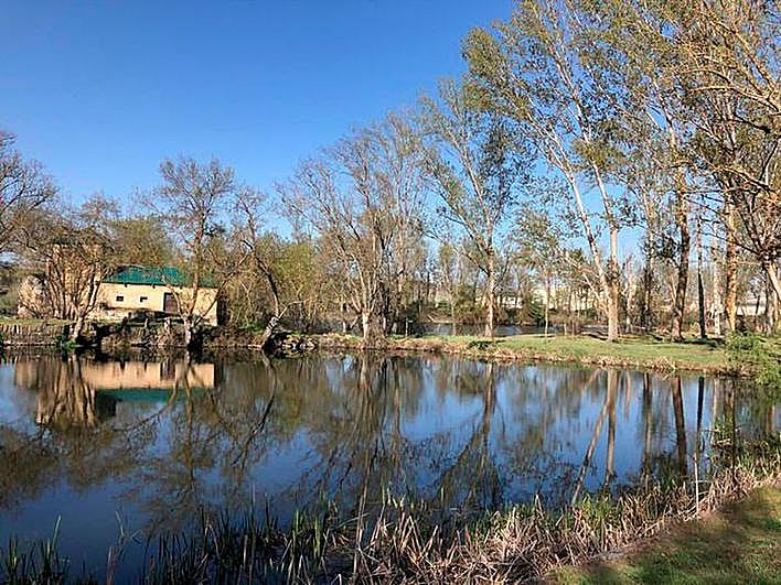 Uno de los espectaculares molinos que se encuentran en la ruta homónina de Villamayor.