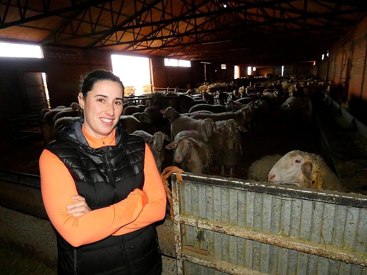 Beatriz Zurdo, en su explotación de ovino de raza assaf en Cantalapiedra