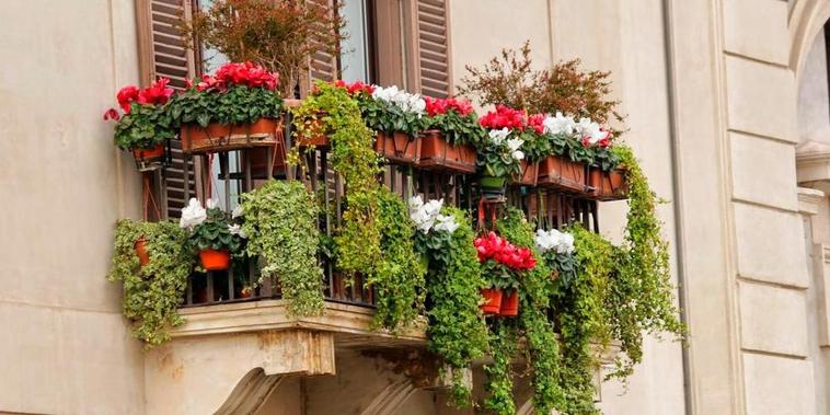 Un balcón repleto de planas y flores.